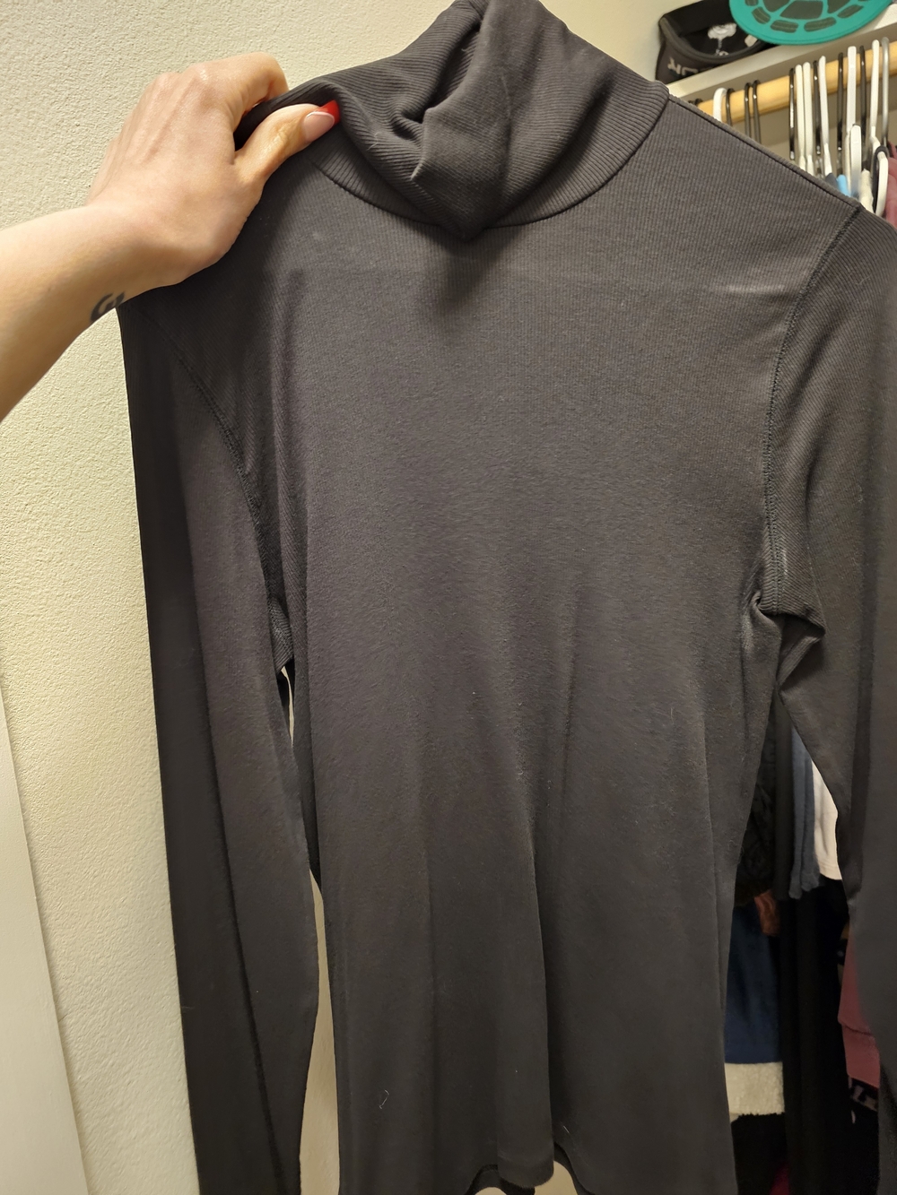 Everlane Black Ribbed Turtleneck Shirt
